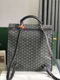 GOYARD Saint Leger 020318 33x35x16cm