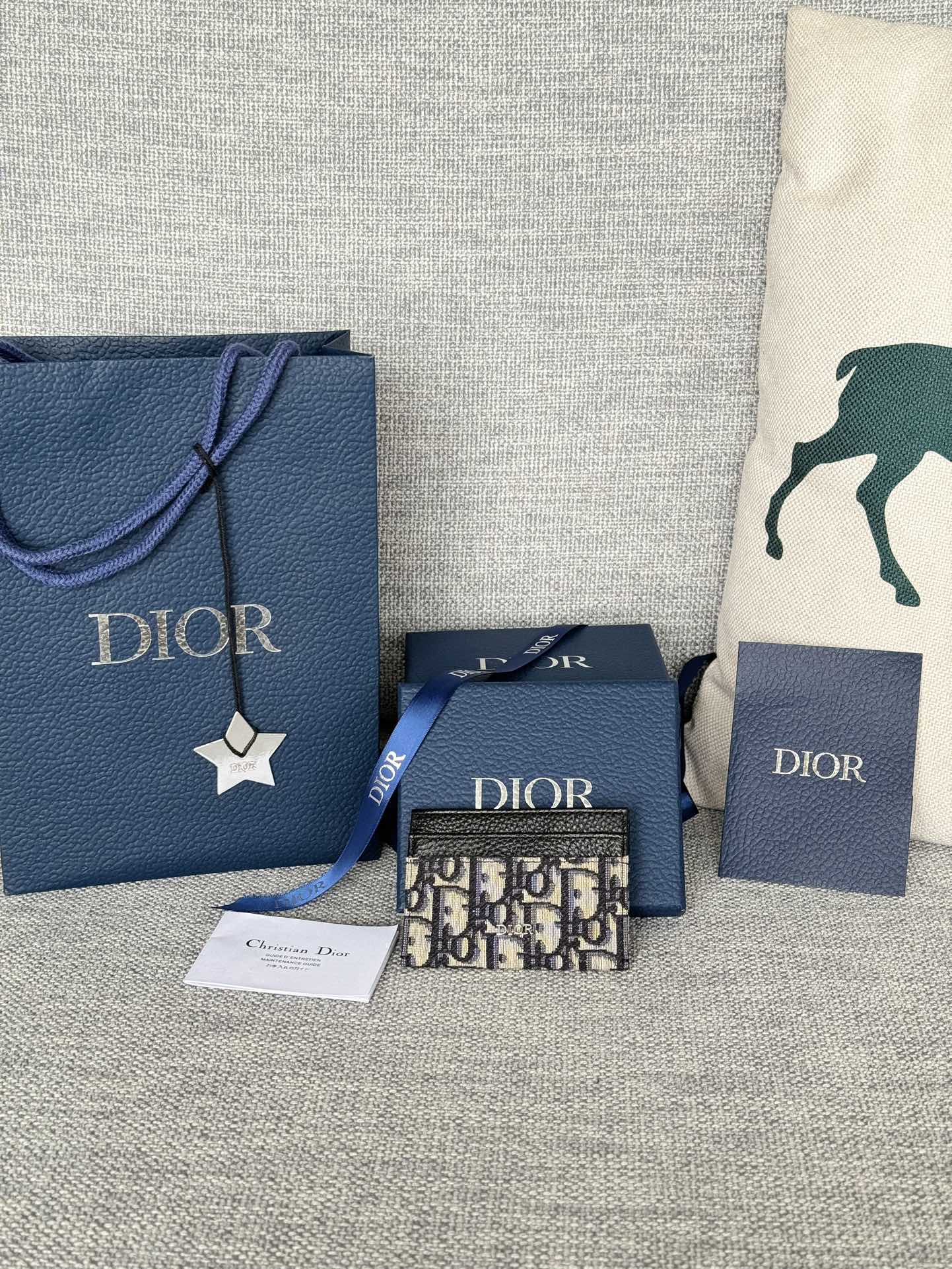 Dior Oblique 10.5*7.5cm