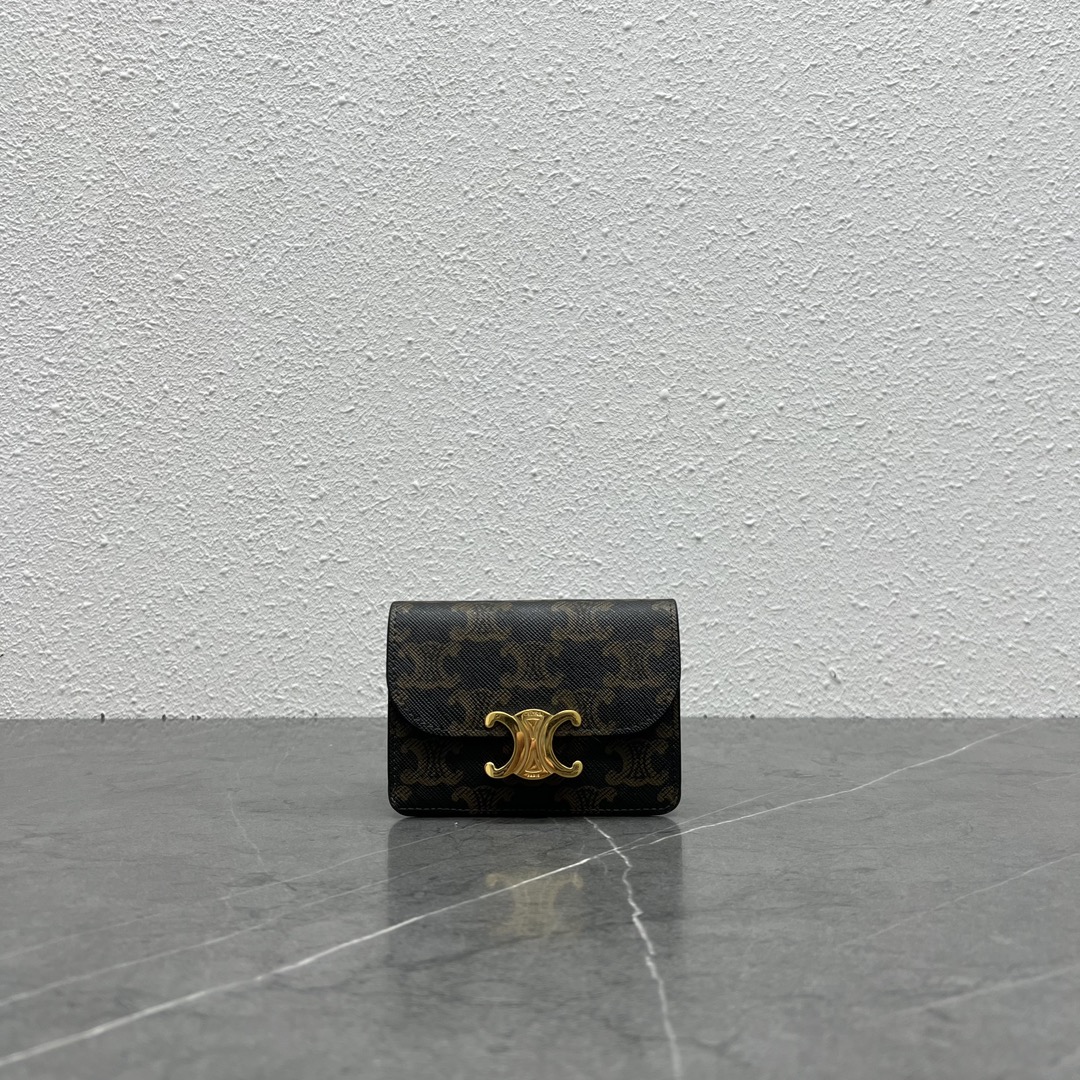 Celine 2024' 101583 10.5x7x1cm