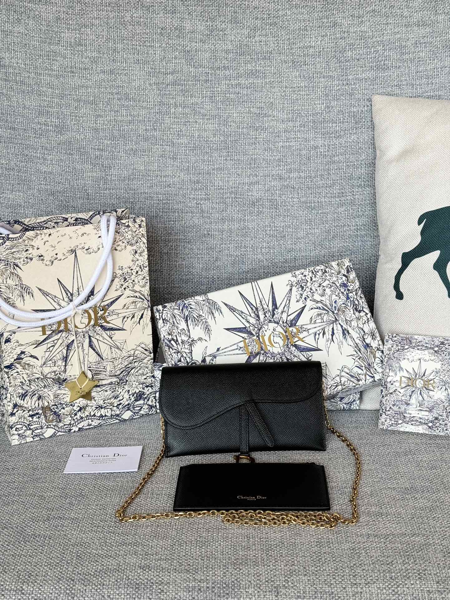Borsa/Portafoglio a Catena Dior S5616