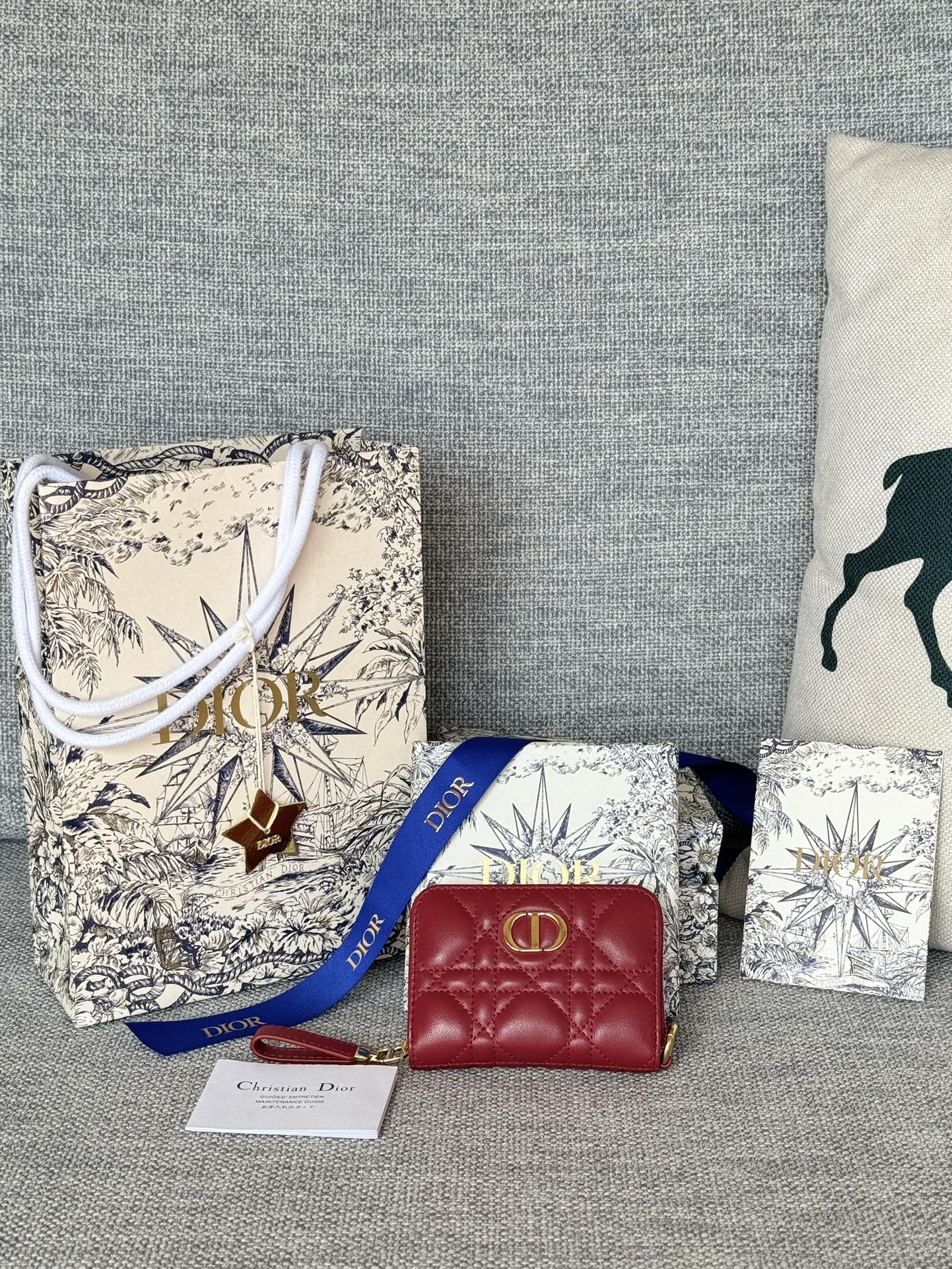 Dior Caro S5034 9x11cm