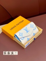 LV M81049 19.5x10.5x2.5cm