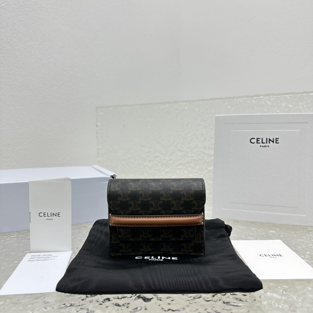 Celine 2024' 60139 11x8x3cm