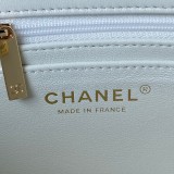 Borsa CC AS2431 20x12x6cm