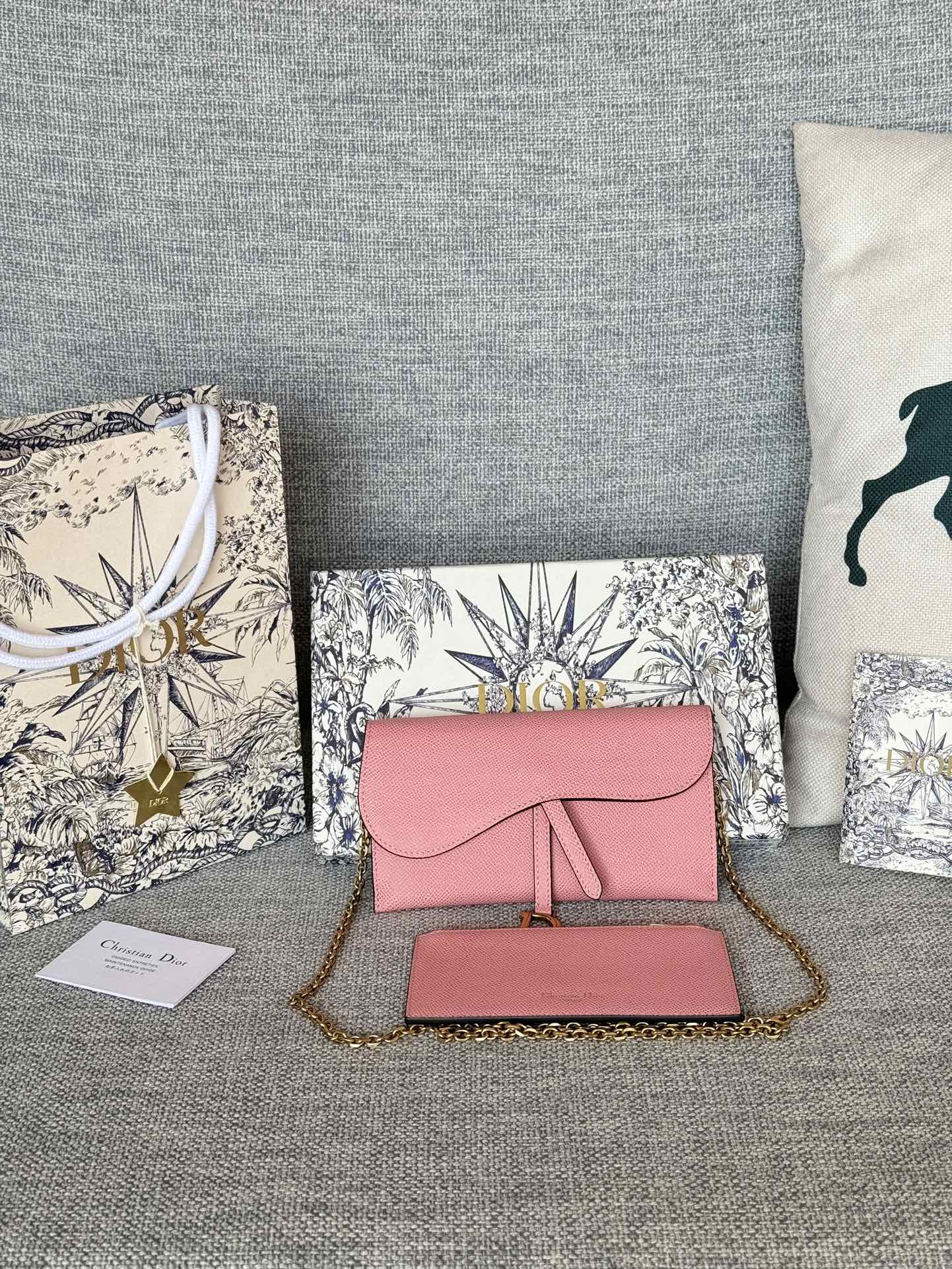 Borsa/Portafoglio a Catena Dior S5615
