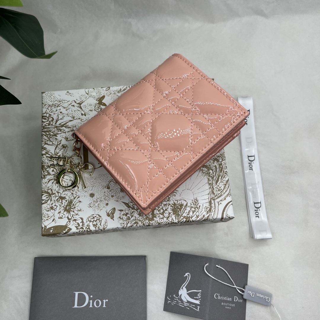 Dior 2024' S01780VRB-M900 11x9cm