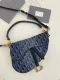 Dior Saddle 25.5x20x6.5cm
