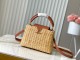 LV Capucines M26025
