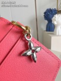 LV Tiny Recto Verso M14615