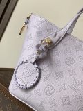 LV Monogram M14395