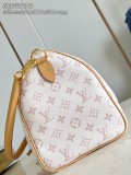 LV Monogram Dune M15108