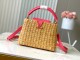 LV Capucines M26005