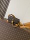 LV Pharrell Williams M14738