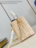 LV Capucines BB M48865