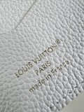 LV Monogram Empreinte M25917