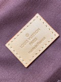 LV CHRISTOPHER M25240