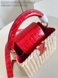 LV Capucines BB M48865