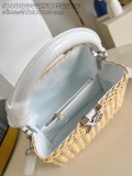 LV Capucines BB M48865