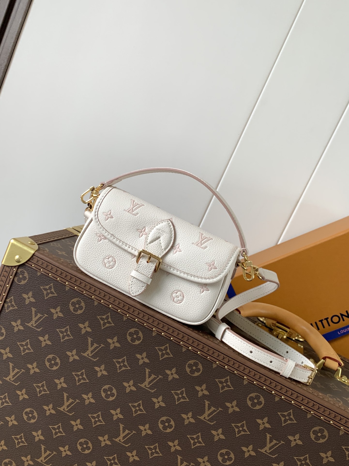 LV Nano Diane M13642