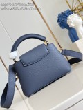 LV Taurillon M14970