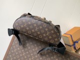 LV Christopher M46686