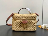 LV Vanity Chain Pouch M14303