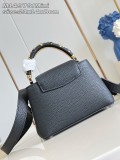 LV Capucines Mini M14976