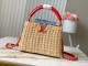 LV TM CAPUCINES M14295