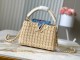 LV TM CAPUCINES M14295