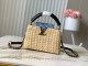 LV TM CAPUCINES M14295