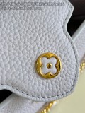 LV Capucines East M48865