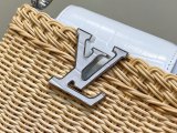 LV Capucines mini Hl M88126