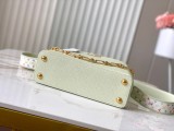 LV Capucines M14101