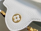 LV Capucines M56669