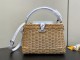 LV Capucines BB Hl M88126