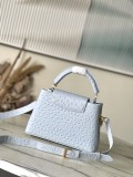 LV Taurillon Hl M48865