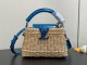 LV Capucines mini Hl M88126