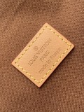LV Montsouris M45501