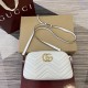 GG 855273