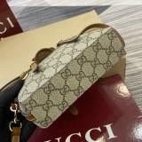 GG 855491