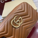 GG 855273