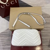 GG 855273