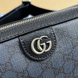 GG 699439