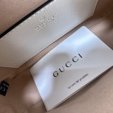 GG 760196