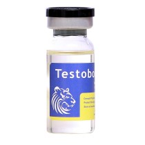 Testobolin 250(TE 250，Testoviron, Cidoteston, Test E, Testabol）