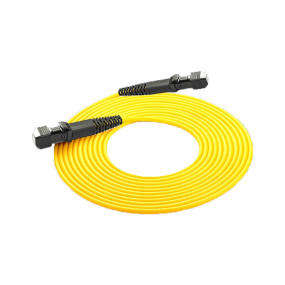 Fiber optic patch cord MTRJ-MTRJ single mode 1-150M customizable