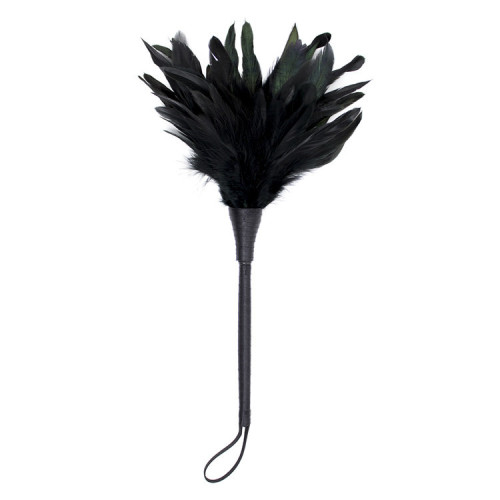 Black feather with rod