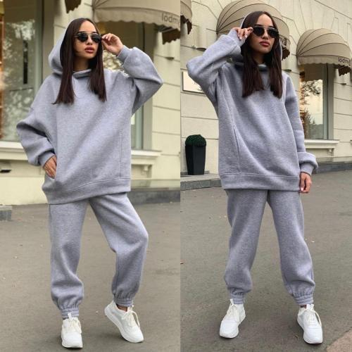 Gray Pure color hooded sweater casual two-piece women's clothing