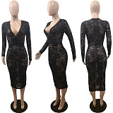 Black Lace Sexy Perspective Plunging Skinny Maxi Dress BGN-012