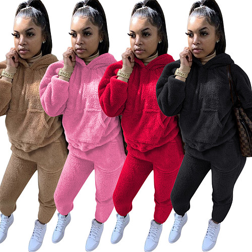Long Sleeve Tracksuit Thicken Hooded Sweatshirts 2 Piece Set TE-4122
